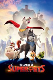 DC League of Super-Pets (2022) Sinhala Subtitles | සුපිරි වීර සුරතලුන්ගේ එකමුතුව…| සිංහල උපසිරසි  සමඟ